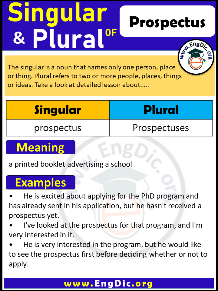 Prospectus Plural, What is the Plural of Prospectus?