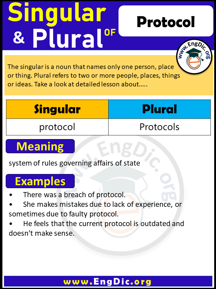 Protocol Plural, What is the Plural of Protocol?