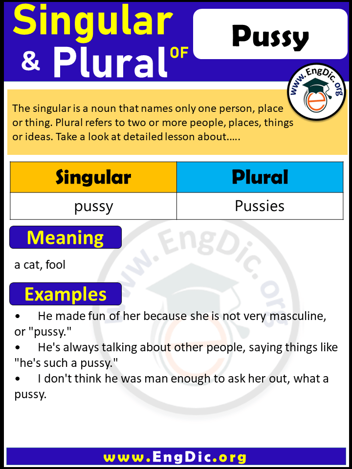 Pussy Plural, What is the Plural of Pussy?