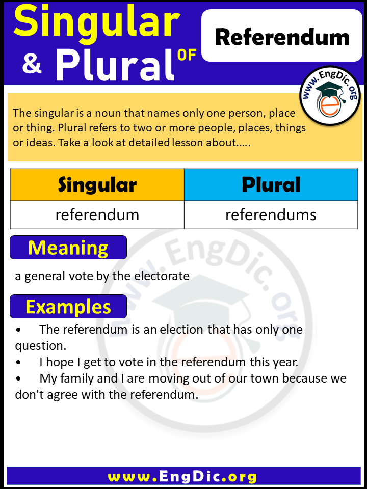 Referendum Plural, What is the Plural of Referendum?