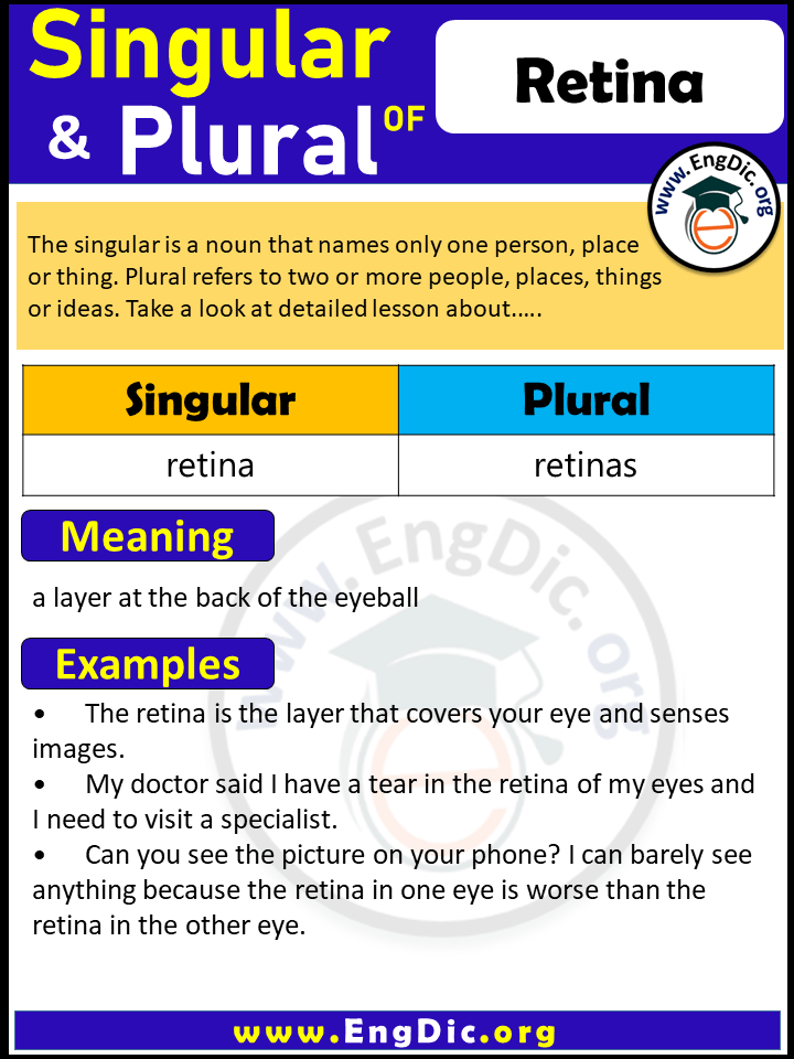 Retina Plural, What is the Plural of Retina?