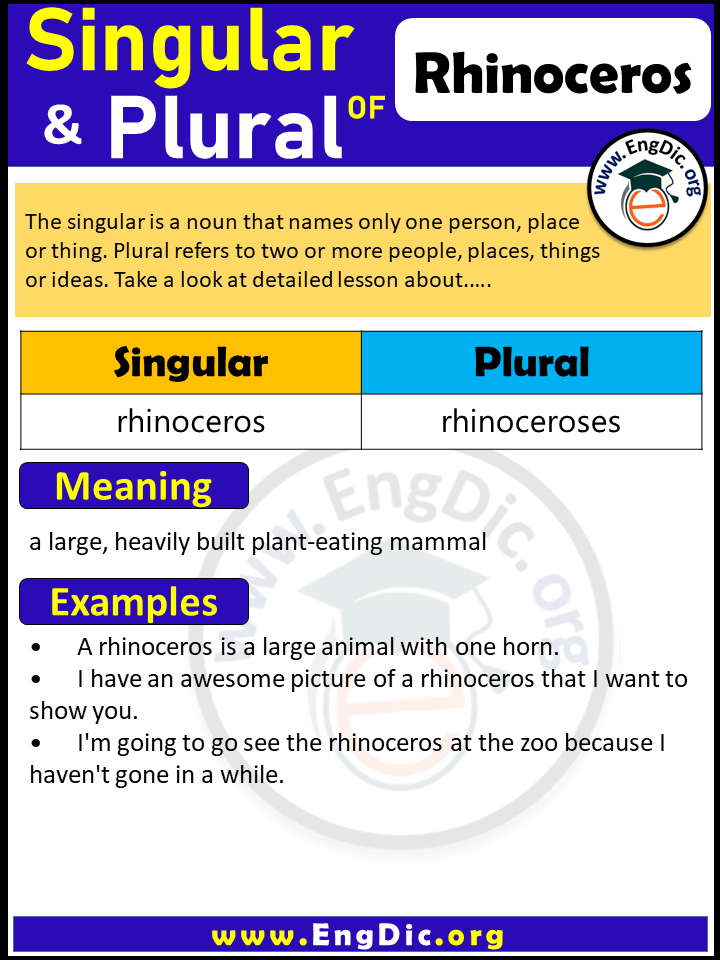 Rhinoceros Plural, What is the Plural of Rhinoceros?