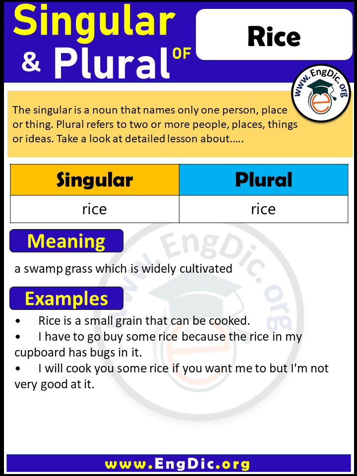 Rice Plural, What is the Plural of Rice?