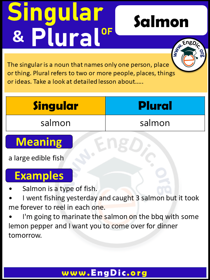 Salmon Plural, What is the Plural of Salmon?