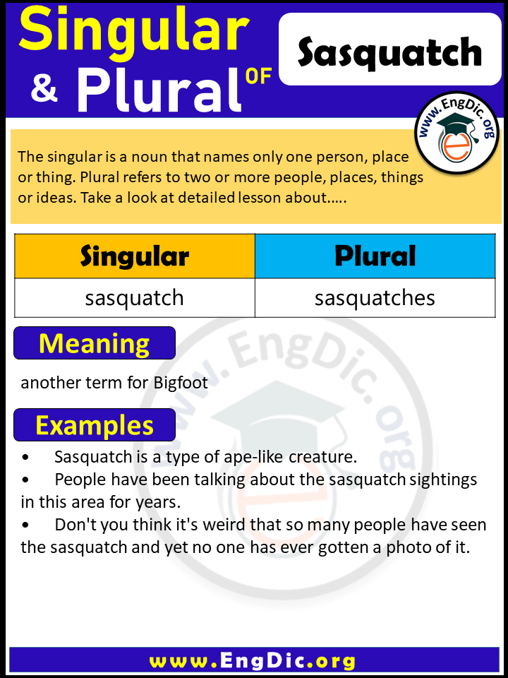 Sasquatch Plural, What is the Plural of Sasquatch?