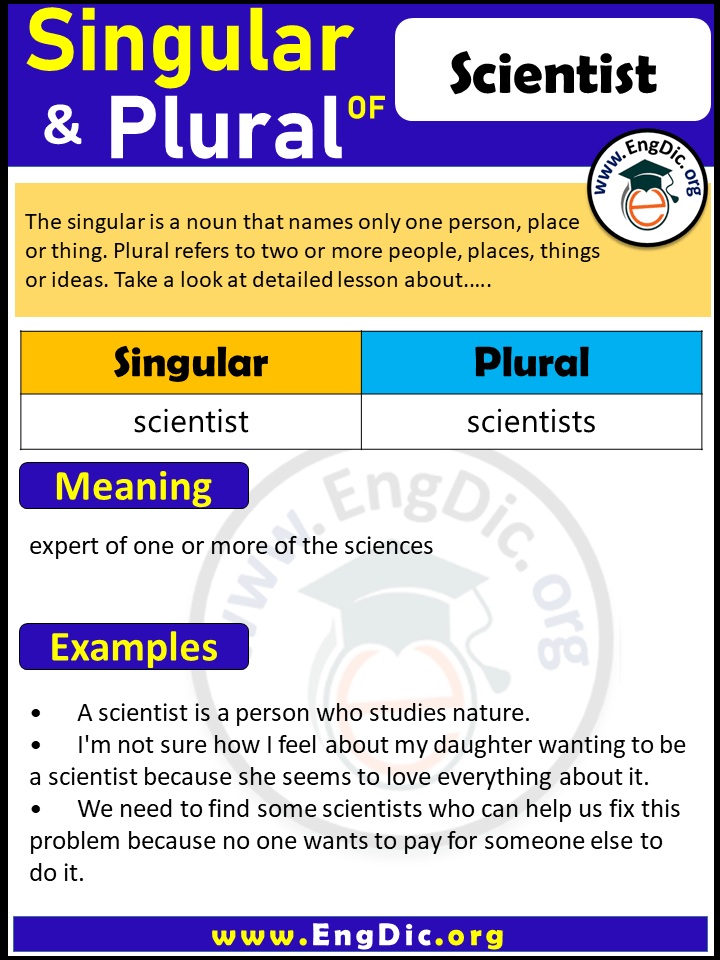 Scientist Plural, What is the Plural of Scientist?