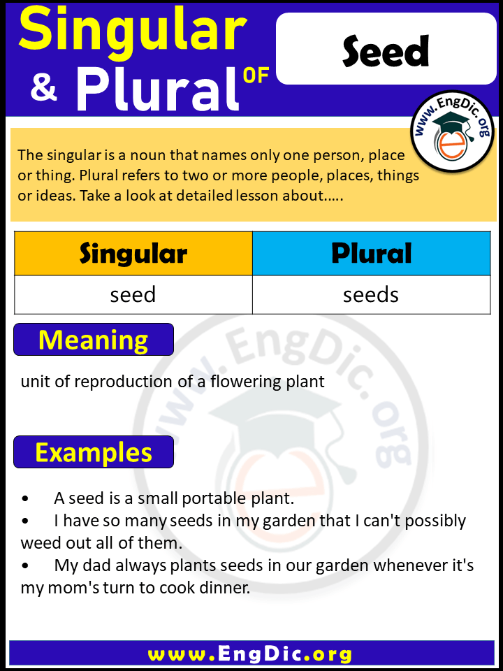 Seed Plural, What is the Plural of Seed?