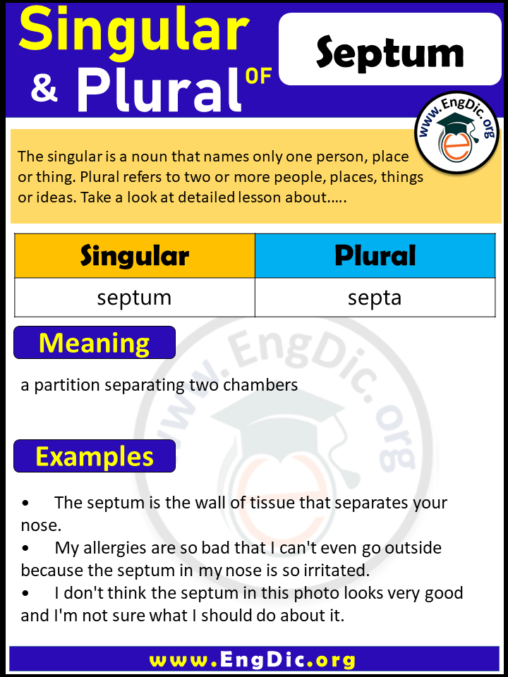 Septum Plural, What is the Plural of Septum?