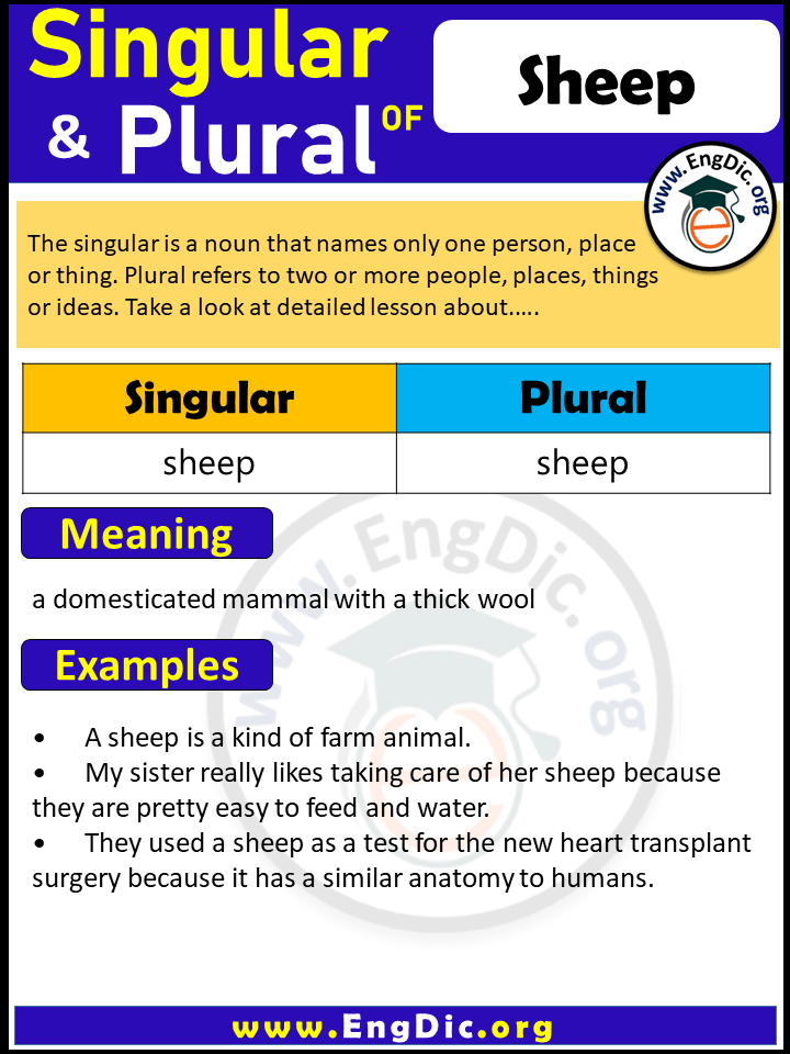 sheep-plural-archives-engdic