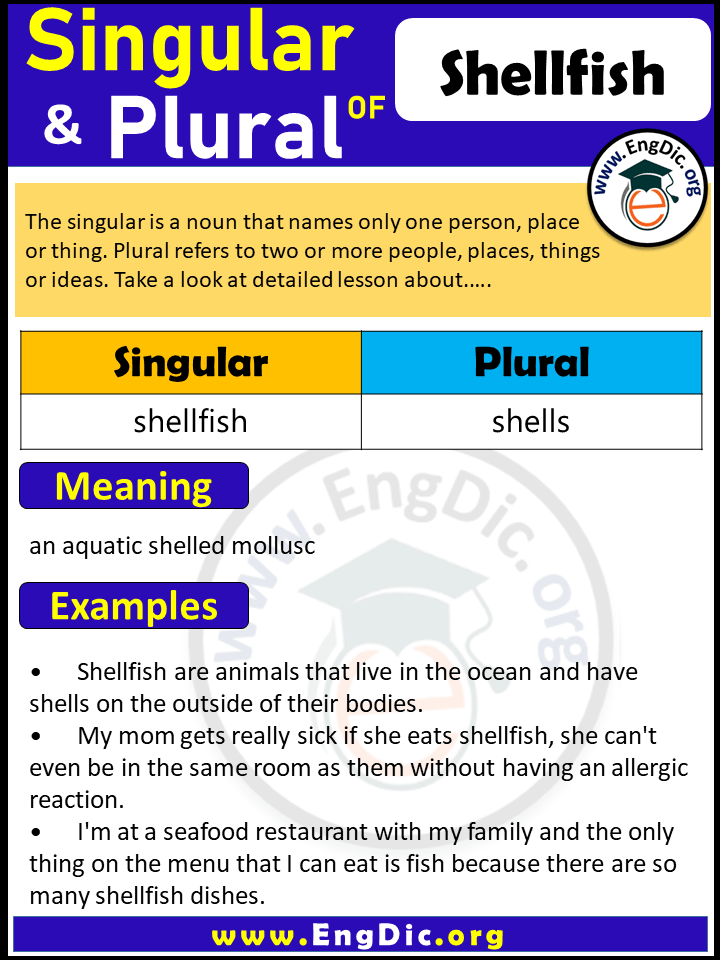 Shellfish Plural, What is the Plural of Shellfish?