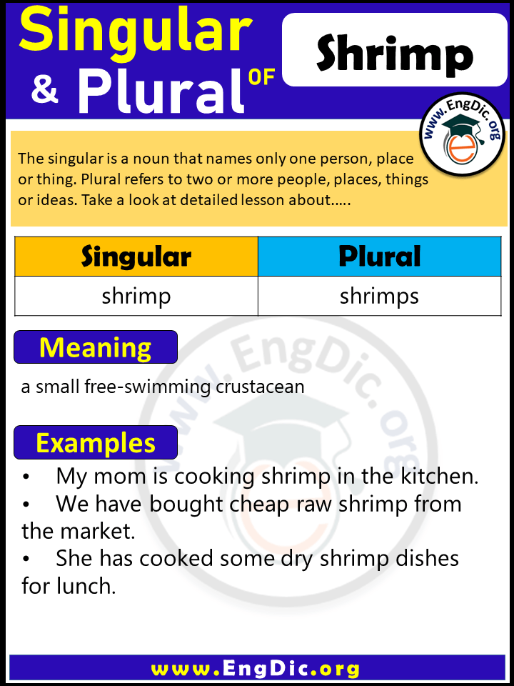 Shrimp Plural, What is the Plural of Shrimp?