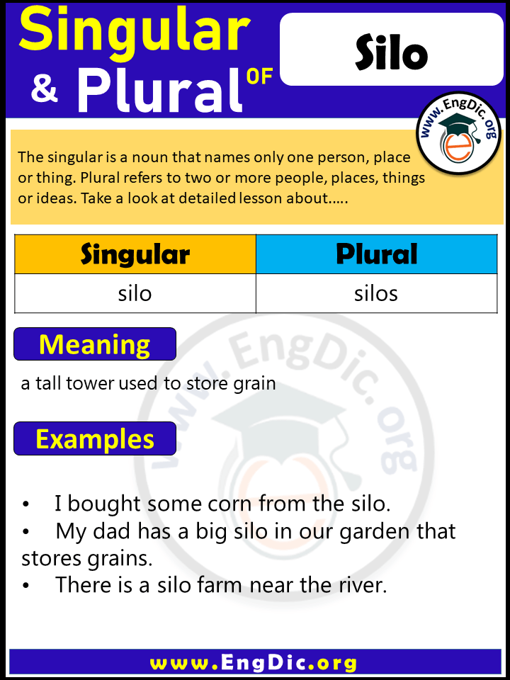 Silo Plural, What is the Plural of Silo?