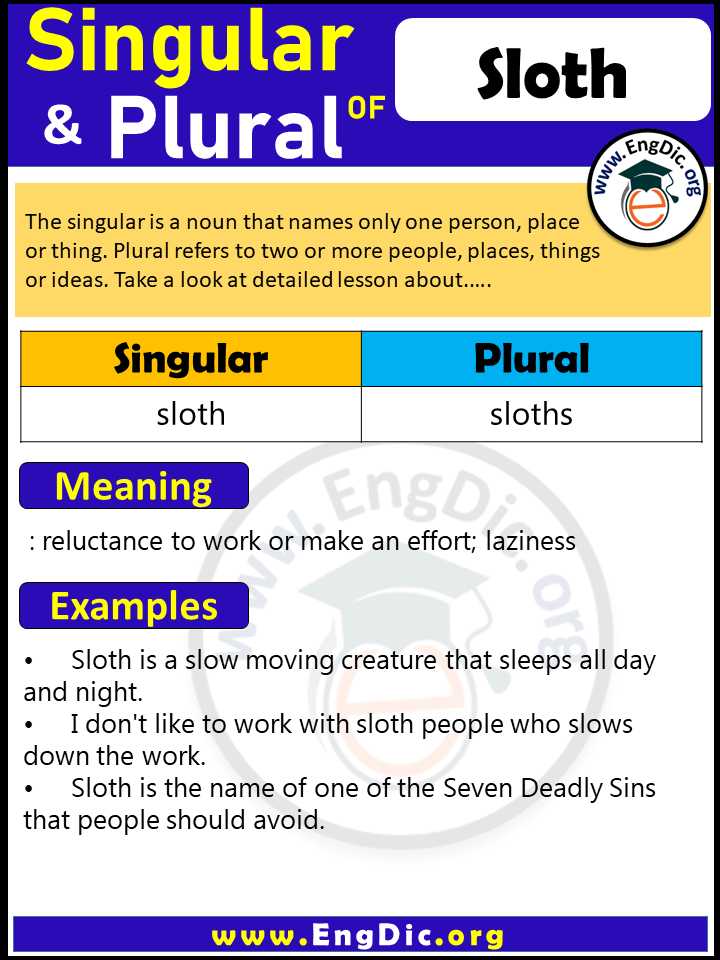 Sloth Plural, What is the Plural of Sloth?