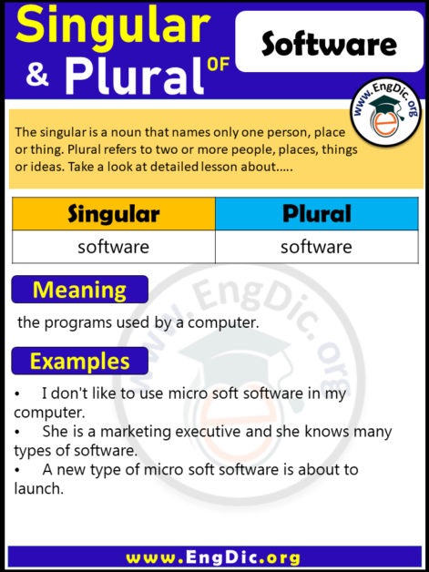 plural-of-software-archives-engdic