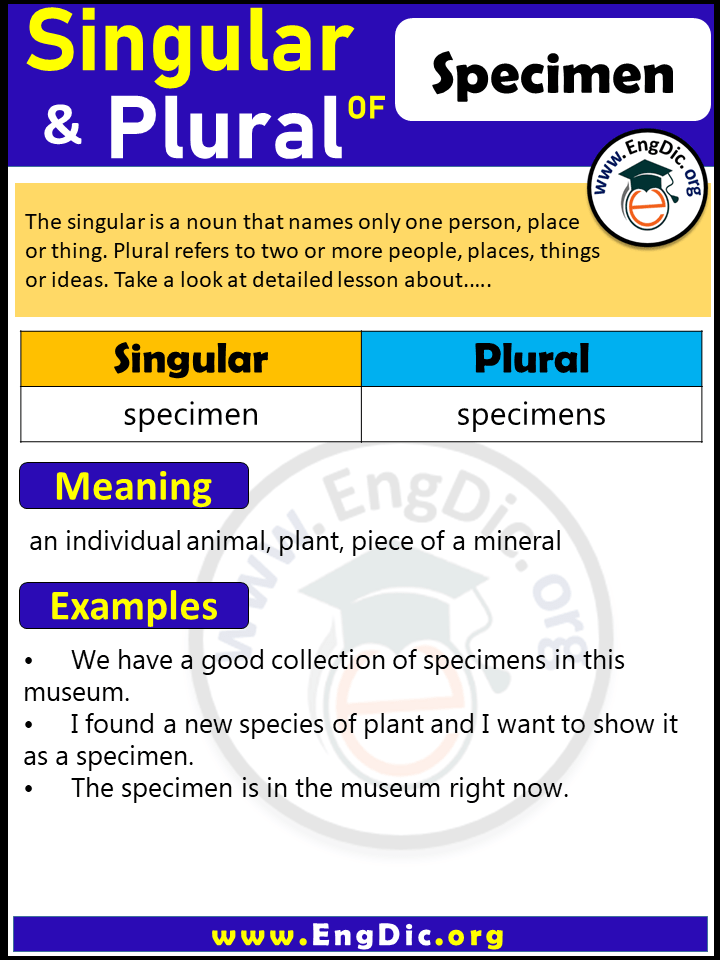 Specimen Plural, What is the Plural of Specimen?
