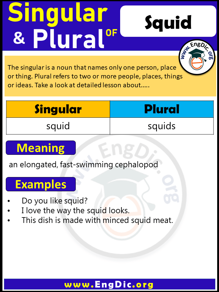 Squid Plural, What is the Plural of Squid?