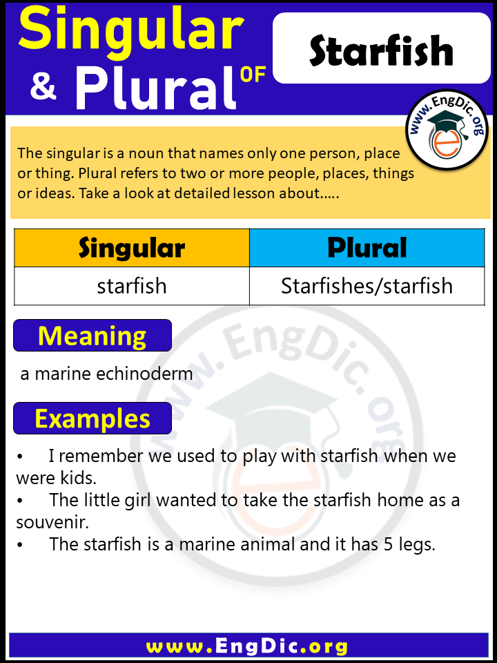 Starfish Plural, What is the Plural of Starfish?