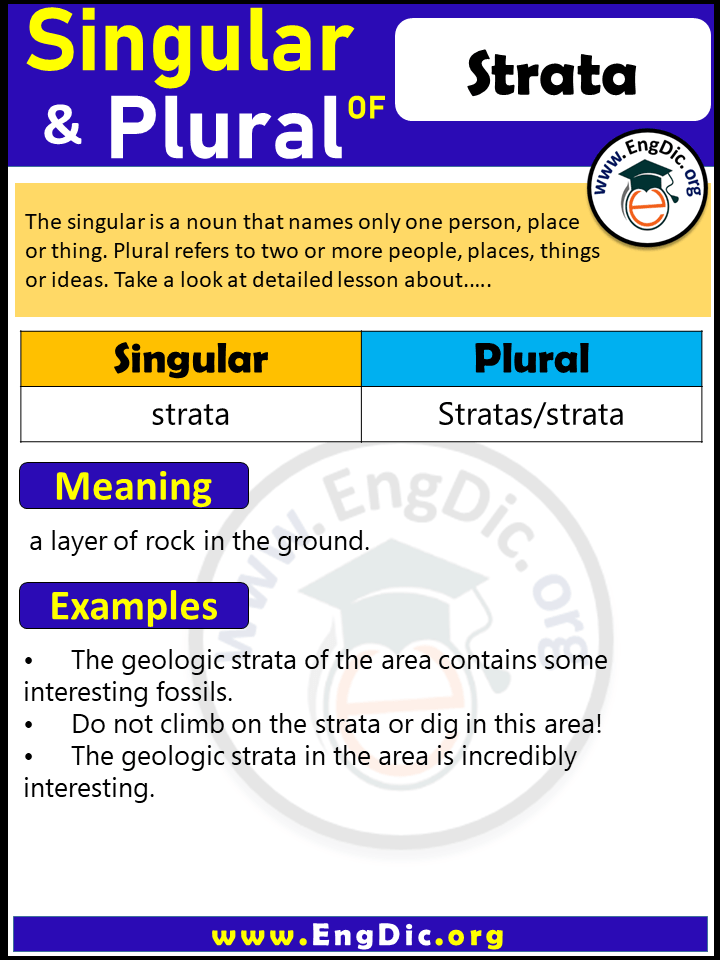 Strata Plural, What is the Plural of Strata?