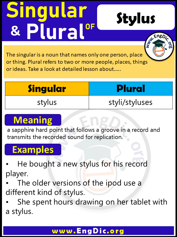 Stylus Plural, What is the Plural of Stylus?