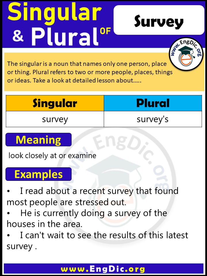 Survey Plural, What is the Plural of Survey?