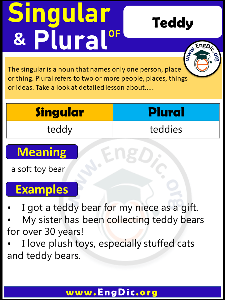 Teddy Plural, What is the Plural of Teddy?