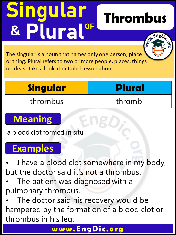 Thrombus Plural, What is the Plural of Thrombus?