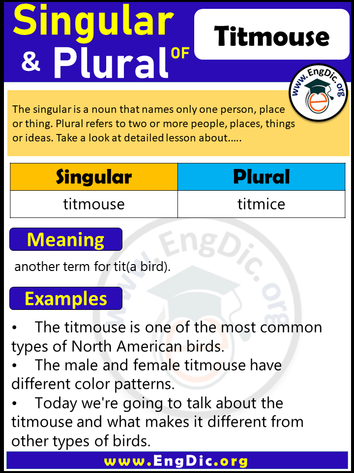Titmouse Plural, What is the Plural of Titmouse?