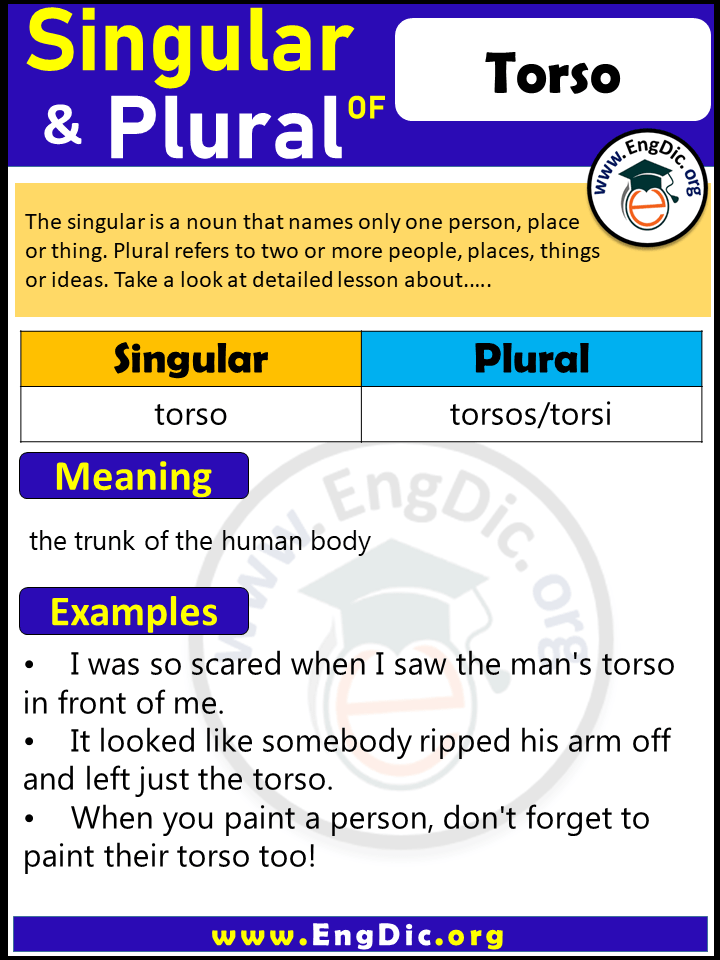 Torso Plural, What is the Plural of Torso?