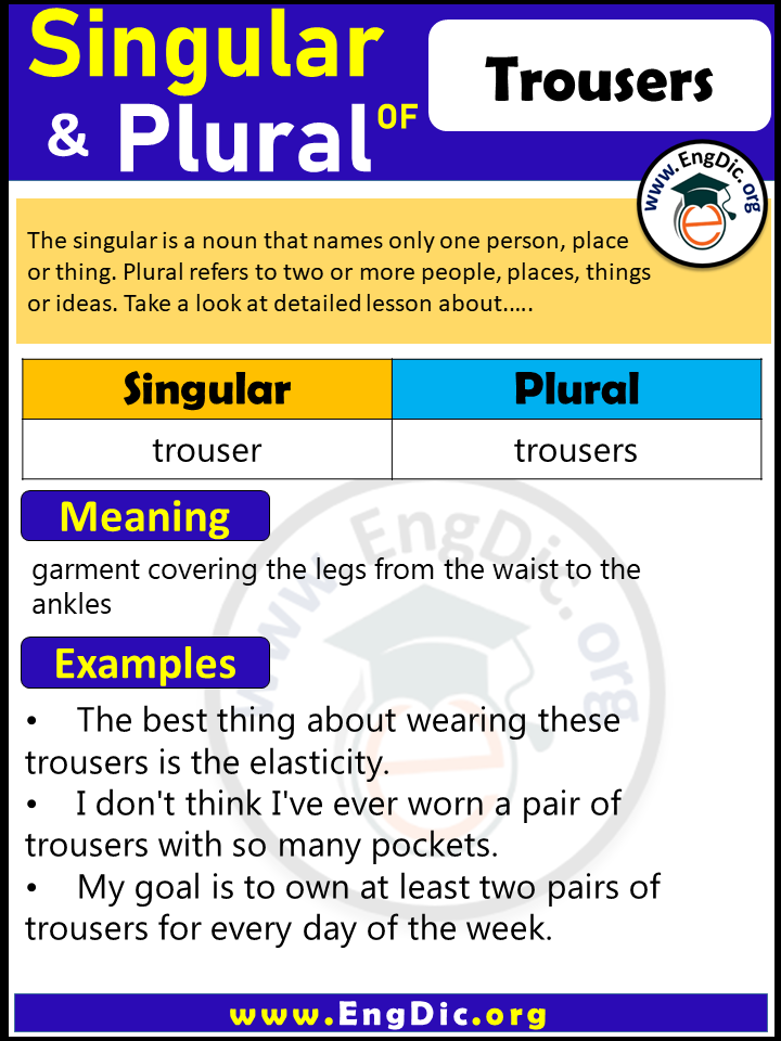 Singular or plural nouns practice 1 online exercise for | Live Worksheets
