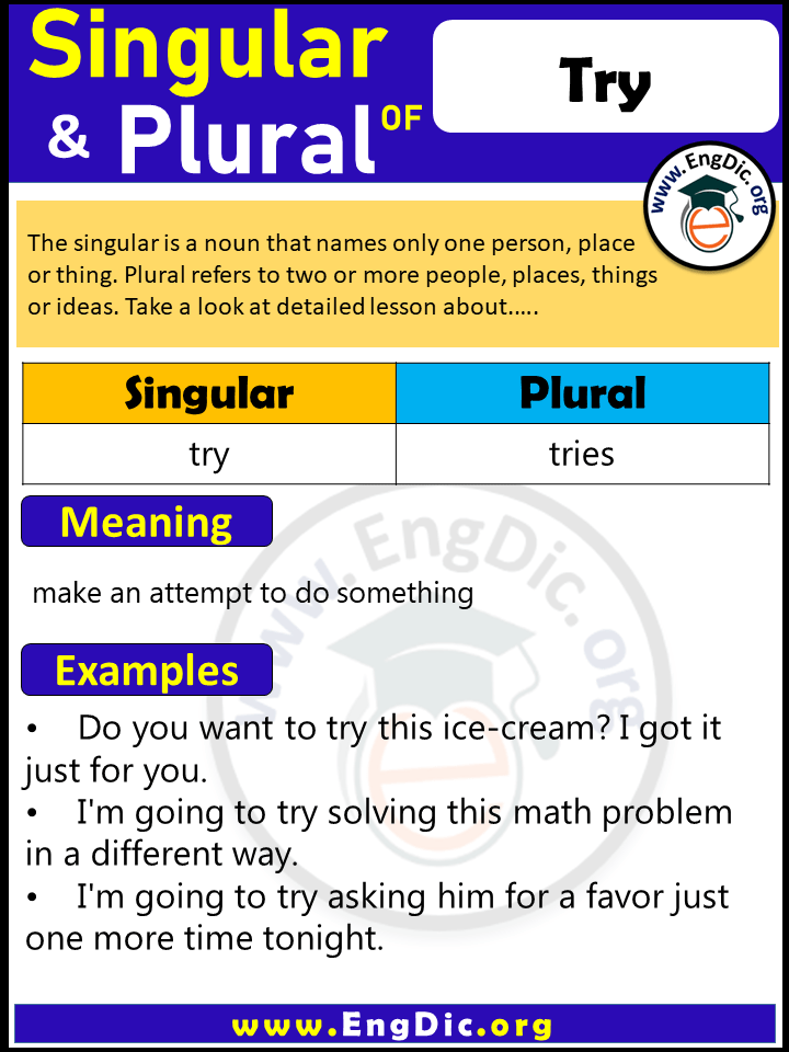 Try Plural, What is the Plural of Try?