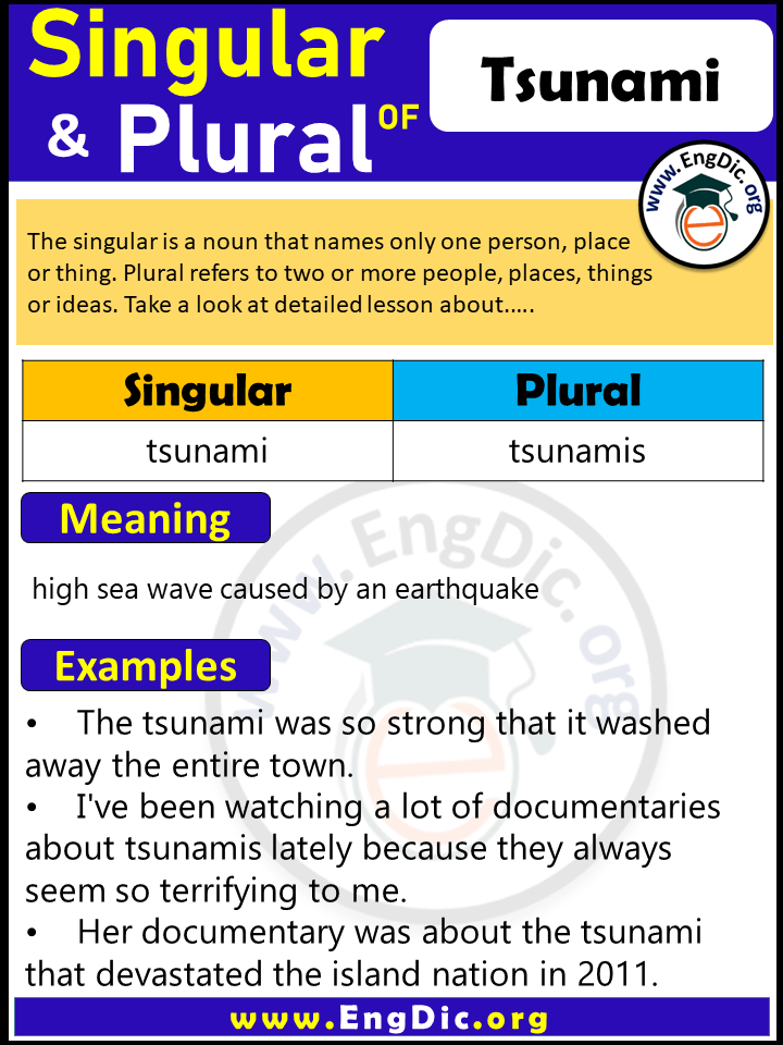 Tsunami Plural, What is the Plural of Tsunami?