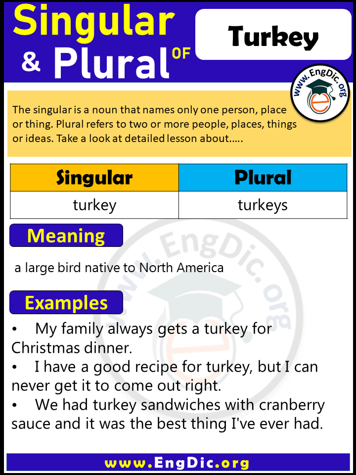 Turkey Plural, What is the Plural of Turkey? Turkey Plural, What is the Plural of Turkey?