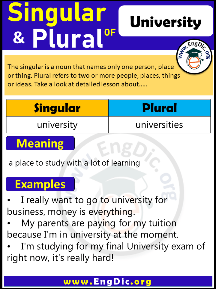 University Plural, What is the Plural of University?