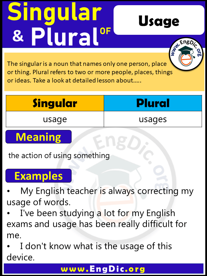 Usage Plural, What is the Plural of Usage?