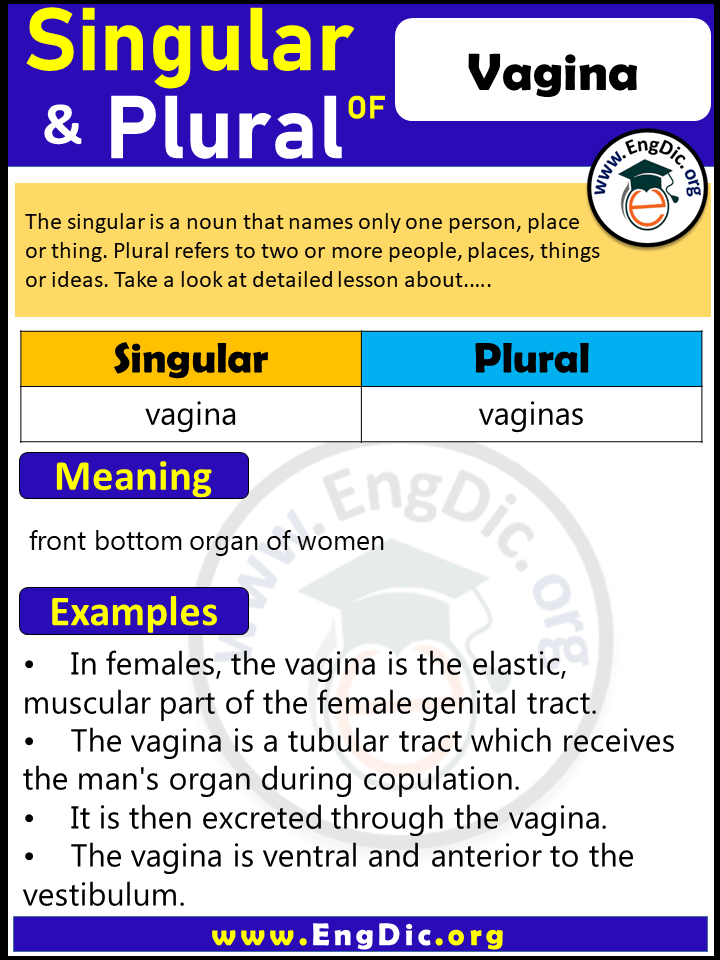 Vagina Plural, What is the Plural of Vagina?
