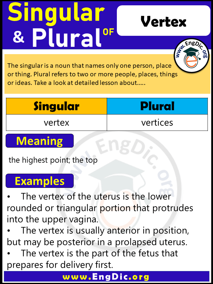 Vertex Plural, What is the Plural of Vertex?