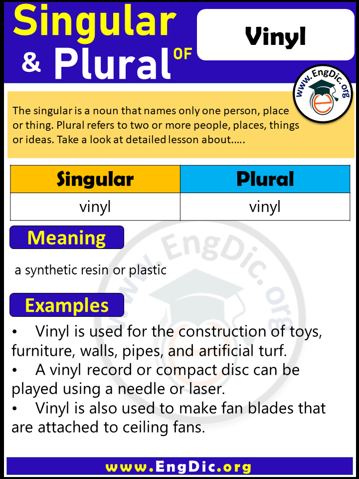 Vinyl Plural, What is the Plural of Vinyl?