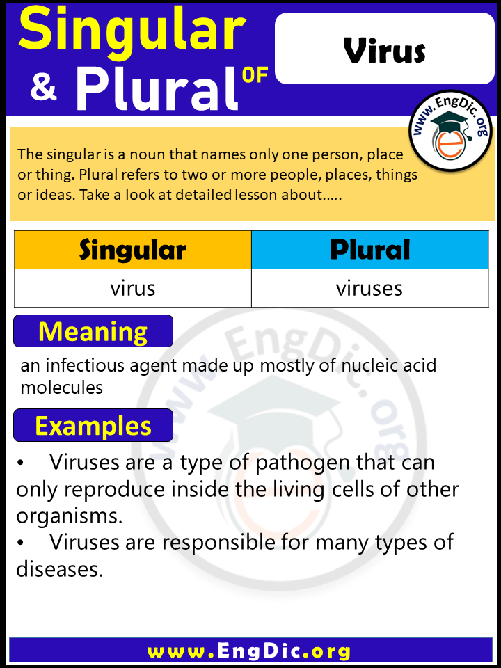 Virus Plural, What is the Plural of Virus?
