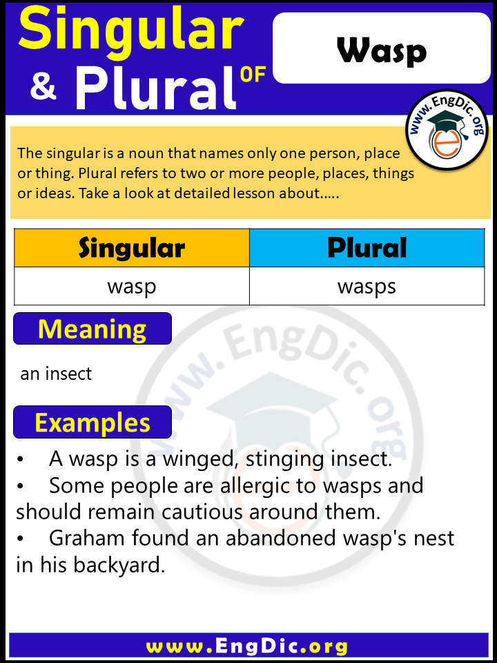 Wasp Plural, What is the Plural of Wasp?