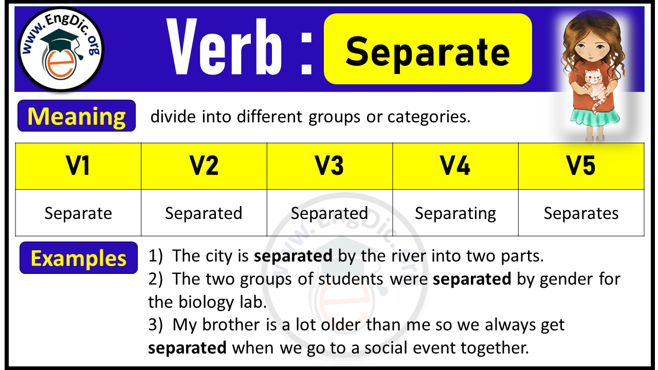 Separate Verb Forms: Past Tense and Past Participle (V1 V2 V3)