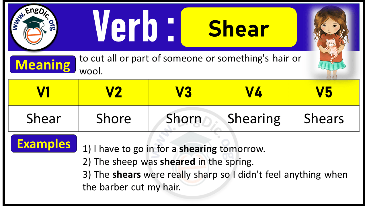 Shear Past Tense, V1 V2 V3 V4 V5 Forms of Shear, Past Simple and Past Participle