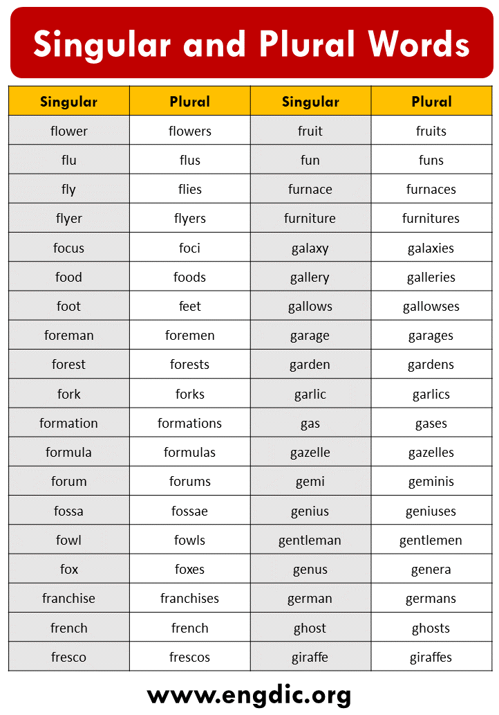 Clutch Plural, What is the plural of Clutch? – EngDic