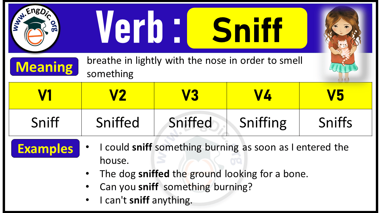 Sniff Verb Forms: Past Tense and Past Participle (V1 V2 V3)