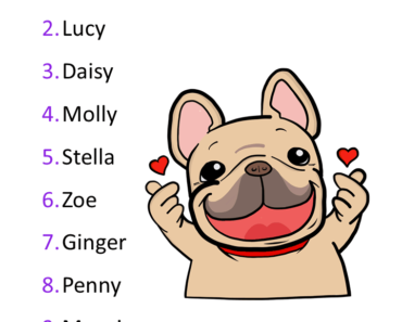 10 Cute Female Dog names