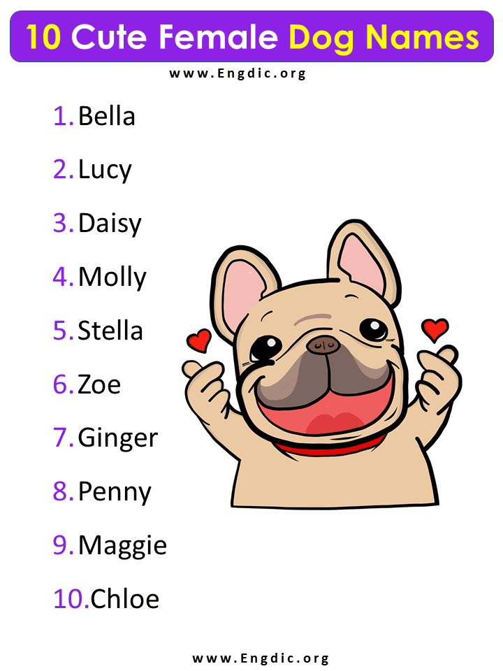 what are some popular names for female dogs