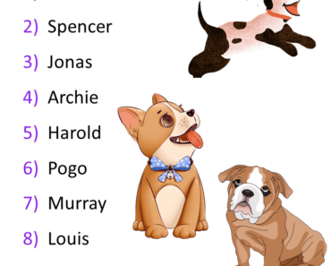 10 Cute Dog names list, Cute Puppy names male