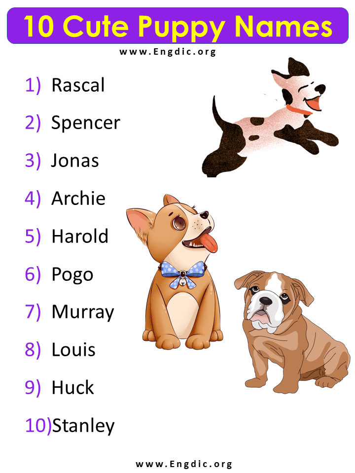 10 Cute Dog names list, Cute Puppy names male - EngDic