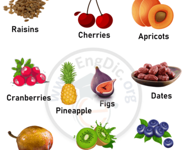 10 Dry Fruit Names with Pictures, Dry Fruits name List