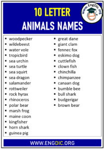 10 Letter Animals Names List - EngDic