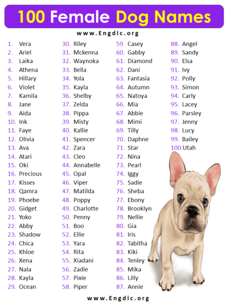 300+ Amazing Female Dog names (Unique and Cute) - EngDic